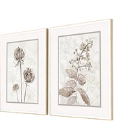 Dried Florals I Framed Art, Set of 2