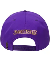 Men's Pro Standard Purple Alcorn State Braves Evergreen Primary Logo Snapback Hat