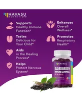Havasu Nutrition Elderberry Gummies for Kids, Immune System Supplement, Havasu Nutrition, 60ct