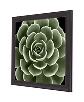 Green Succulent Iv Framed Art