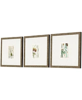 Antique-Like Botanical I Framed Art, Set of 3