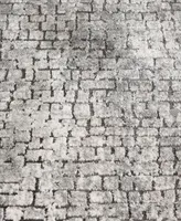 Km Home Waterside Drift 3'3" x 5'3" Area Rug