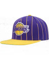 Men's Mitchell & Ness Purple, Gold Los Angeles Lakers Hardwood Classics Pinstripe Snapback Hat