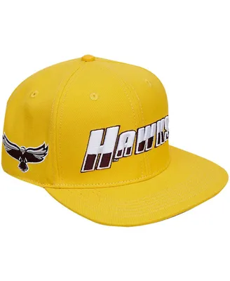 Men's Pro Standard Gold Maryland Eastern Shore Hawks Evergreen Hawks Snapback Hat