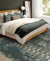 Addison Bravado Outdoor Washable ABV38 5' x 7'6" Area Rug