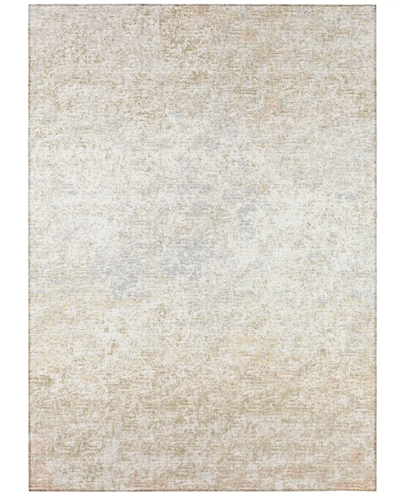 Addison Rylee Outdoor Washable ARY33 3' x 5' Area Rug