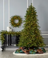 Seasonal Dandan Pine 24" Pre-Lit Pe Mixed Pvc Wreath with 375 Tips, 150 Warm Led Lights