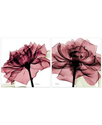 Empire Art Direct Chianti Rose I Ii Frameless Free Floating Tempered Glass Panel Graphic Wall Art, 24" x 24" x 0.2" each
