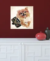 Empire Art Direct "Pomeranian" Unrameled Free Floating Tempered Glass Panel Graphic Dog Wall Art Print 20" x 20", 20" x 20" x 0.2" - Multi