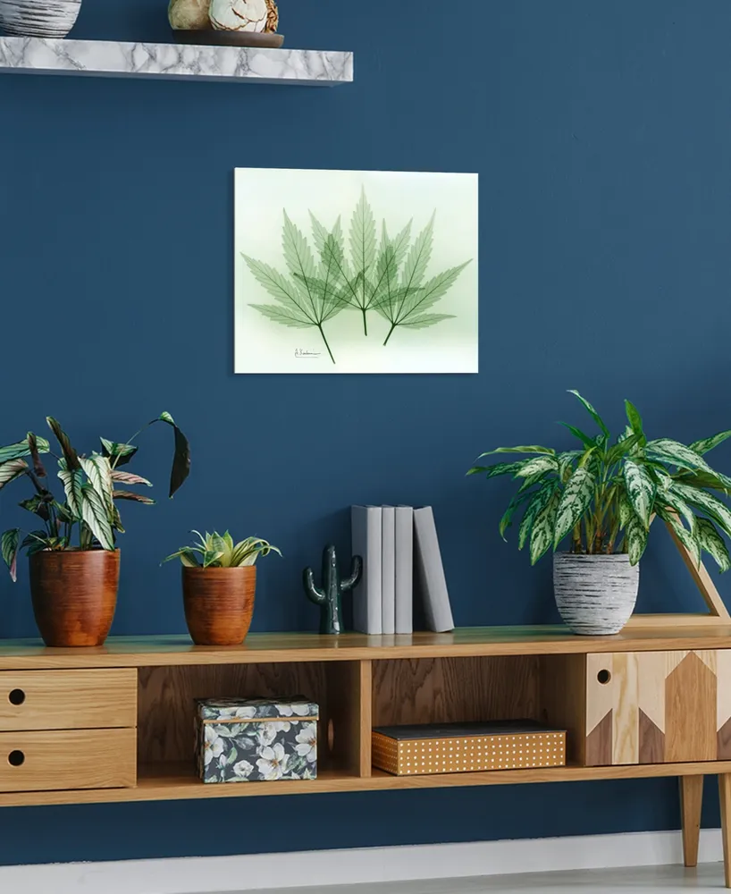 Empire Art Direct "Green Flower" Frameless Free Floating Tempered Glass Panel Graphic Wall Art, 16" x 20" x 0.2"