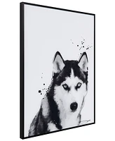 Empire Art Direct "Siberian Husky" Pet Paintings on Printed Glass Encased with a Black Anodized Frame, 24" x 18" x 1"
