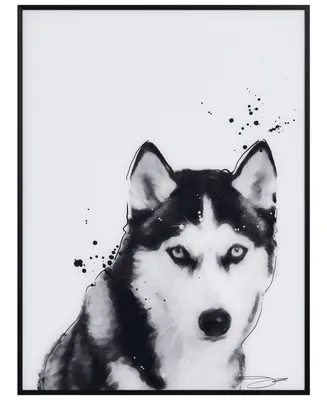 Empire Art Direct "Siberian Husky" Pet Paintings on Printed Glass Encased with a Black Anodized Frame, 24" x 18" x 1"