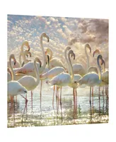Empire Art Direct "Flamingo Flair" Frameless Free Floating Tempered Glass Panel Graphic Wall Art, 38" x 38" x 0.2"
