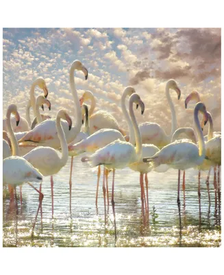 Empire Art Direct "Flamingo Flair" Frameless Free Floating Tempered Glass Panel Graphic Wall Art, 38" x 38" x 0.2"
