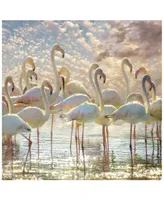 Empire Art Direct "Flamingo Flair" Frameless Free Floating Tempered Glass Panel Graphic Wall Art, 38" x 38" x 0.2"