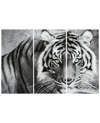 Empire Art Direct "Tiger Abc" Frameless Free Floating Tempered Glass Panel Graphic Wall Art Set of 3, 72" x 36" x 0.2" Each