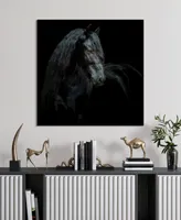 Empire Art Direct "Black Equine Attraction" Frameless Free Floating Tempered Glass Panel Graphic Wall Art, 38" x 38" x 0.2"