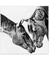 Empire Art Direct "Kindred Colts" Frameless Free Floating Tempered Glass Panel Graphic Wall Art, 38" x 38" x 0.2"