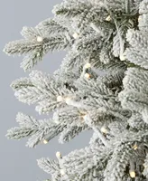 Seasonal Dandan Flocked Pine 7.5' Flocked Pe Mixed Pvc Tree with Metal Base, 3936 Tips, 2200 Lights, Ez-Connect, Remote, Storage Bag