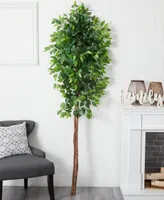 Nearly Natural 72" Artificial Double Trunk Ficus Tree No Pot