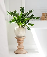 Nearly Natural 28" Artificial Zamioculcas Plant with Decorative Planter