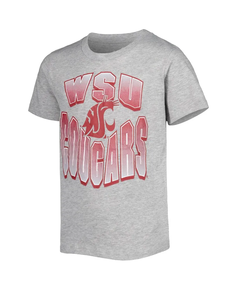 Big Boys Crimson, Heather Gray Washington State Cougars Game Day T-shirt Combo Pack
