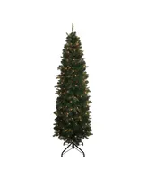 Kurt Adler 6' Pre-lit Clear Incandescent Studio Spruce Tree