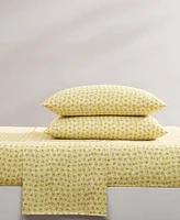 Betsey Johnson Sunflower Field Microfiber -Pc. Sheet Set