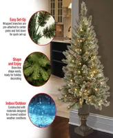 National Tree Company 4' Glittery Bristle Pine Entrance Tree with 100 Clear Lights