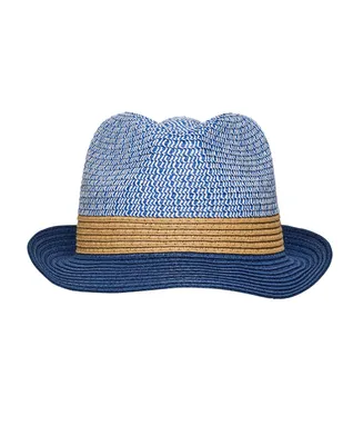 Toddler, Child Boys Shades of Blue Fedora Hat