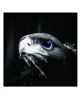 Simplie Fun Focused Eagle Acrylic Wall Art (40 H X 40 W)