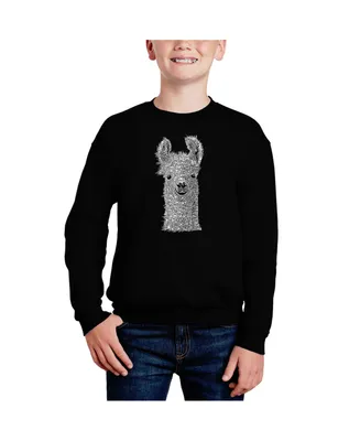 Llama - Big Boy's Word Art Crewneck Sweatshirt