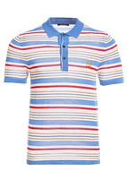 Bellemere Men's Fantasy Stripe Multicolor Tencel Polo Shirt