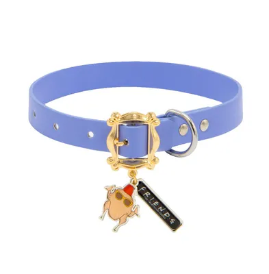 Warner Bros. Pet Collar, Faux Leather Dog Friends Television Show