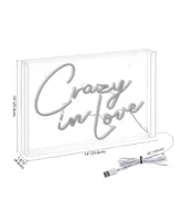 Crazy In Love Contemporary Glam Acrylic Box Usb Operated Led Neon Light