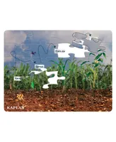 Kaplan Early Learning Corn Life Cycle Floor Puzzle - 24 Pieces