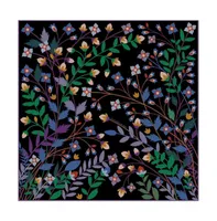 Jessie Zhao New York Double Sided Silk Scarf Of Night Garden