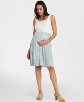 Seraphine Women's Maternity Nursing Dress