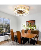 Modern Caged Ceiling Fan with Remote Control
