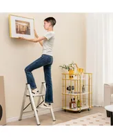 Folding Aluminum 2-Step Ladder with Non-Slip Pedal and Footpads