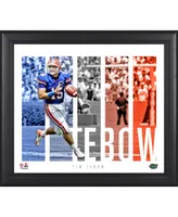 Tim Tebow Florida Gators Framed 15'' x 17'' Player Panel Collage