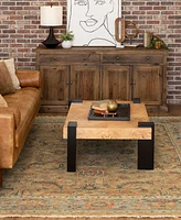 Karastan Balboa Segovia 6' x 9' Area Rug