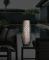 Lite Source Outdoor Cordless Baran Table Lamp