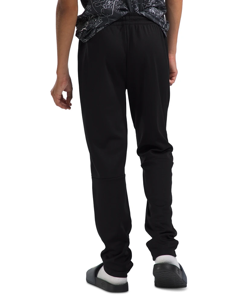 The North Face Big Boys Never Stop Tapered FlashDry Pants