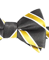 Tayion Collection Men's Black & Gold Stripe Bow Tie