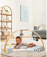 Skip Hop Discoverosity Play Gym