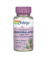 Solaray Arabinogalactan Larch Tree 300 mg - 60 Veg caps - Assorted Pre