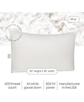 East Coast Bedding Elite European Down Dream King Pillow 800 Fill Power