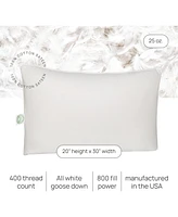 East Coast Bedding Elite European Down Dream Queen Pillow 800 Fill Power