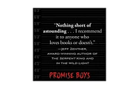 Promise Boys by Nick Brooks